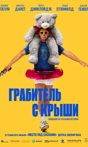 Грабитель с крыши